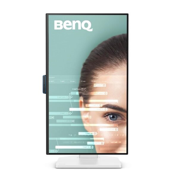 BenQ GW2490TC