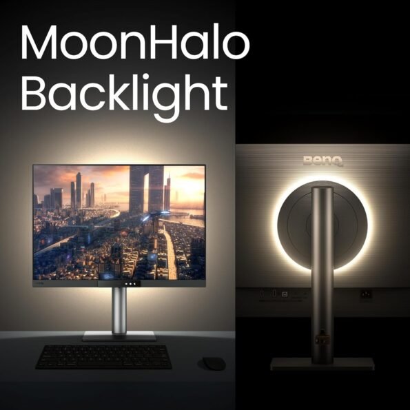 BenQ Programming Monitor RD280UG