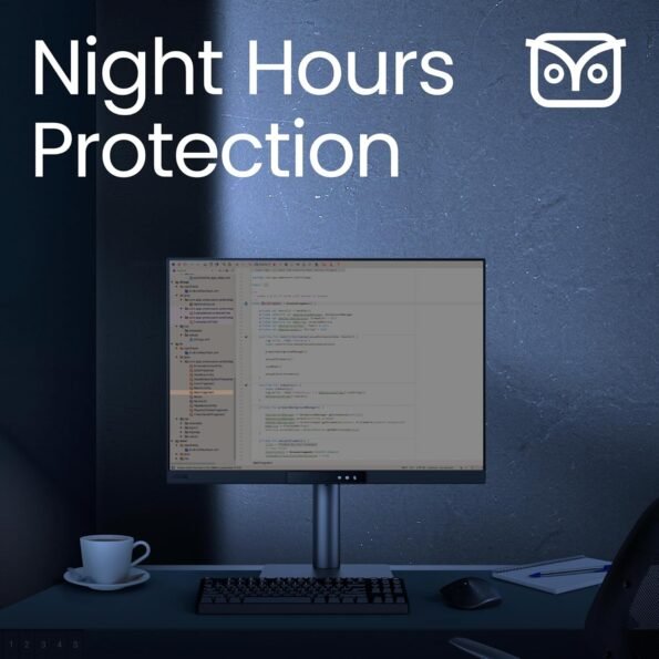 BenQ Programming Monitor RD280UG