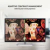 Acer EB321HQA