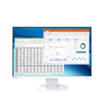 EIZO FlexScan EV2410R