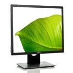 Dell P1917S