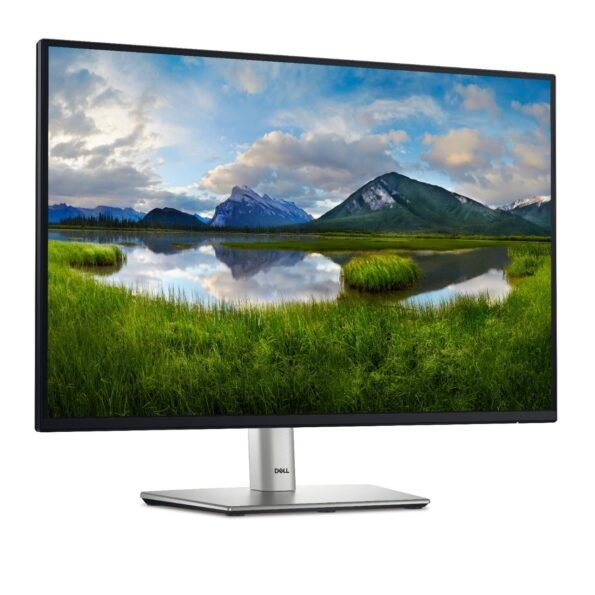 Dell P2425HE