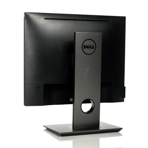 Dell P1917S