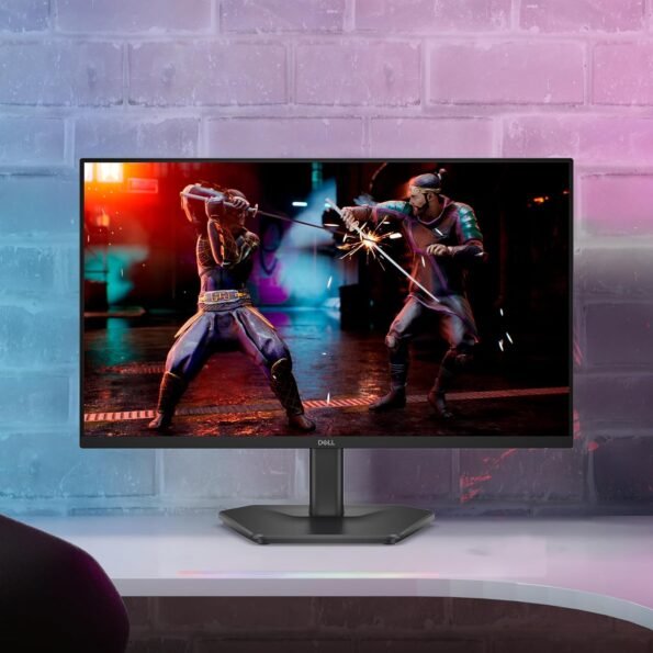 Dell SE2425HG